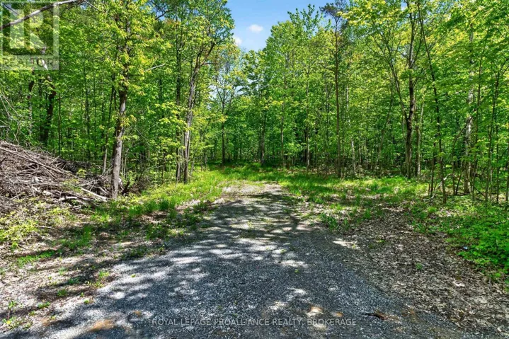 PT LTS 12 & 13 DEVIL LAKE ROAD, South Frontenac (Frontenac South), Ontario K0G1X0