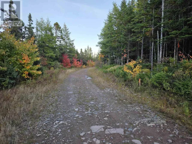 Land 104 Highway, River Bourgeois, Nova Scotia B0E2X0