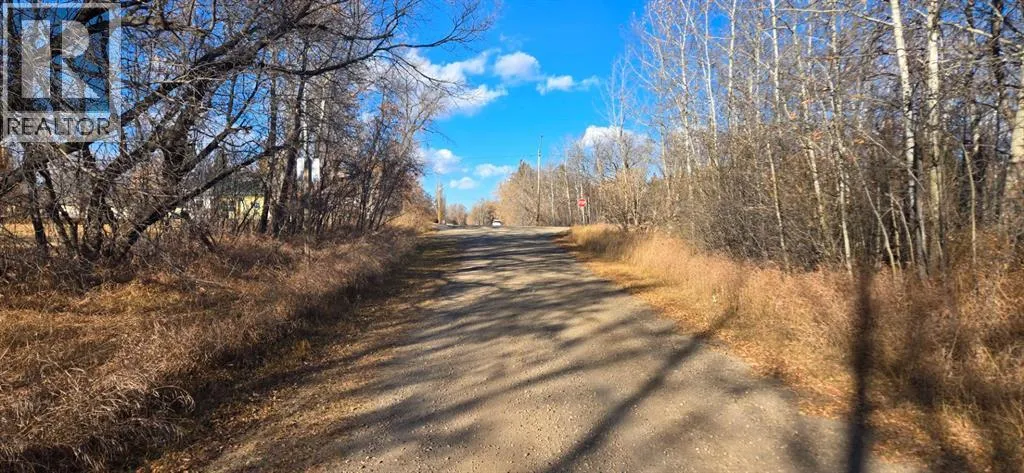 4832 46 Street, Mirror, Alberta T0B3C0