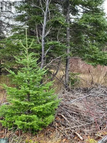 104-108 Highway East, Victoria, Newfoundland & Labrador A0A4G0