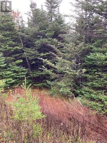 94-96 Highway East, Victoria, Newfoundland & Labrador A0A4G0