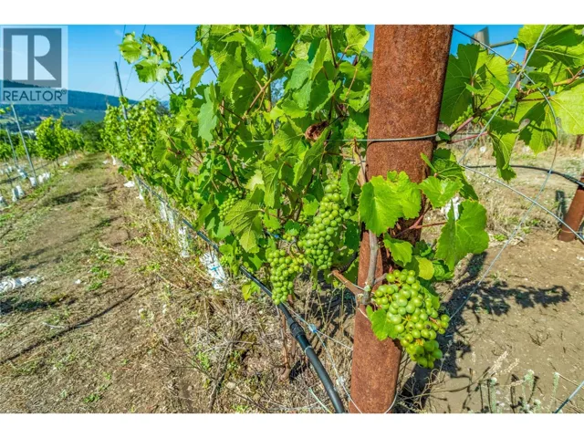 9269 Highway 6, Coldstream, British Columbia V1B3B5