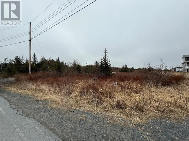 163 Ridge Road, Spaniards Bay, Newfoundland & Labrador A0A3X0
