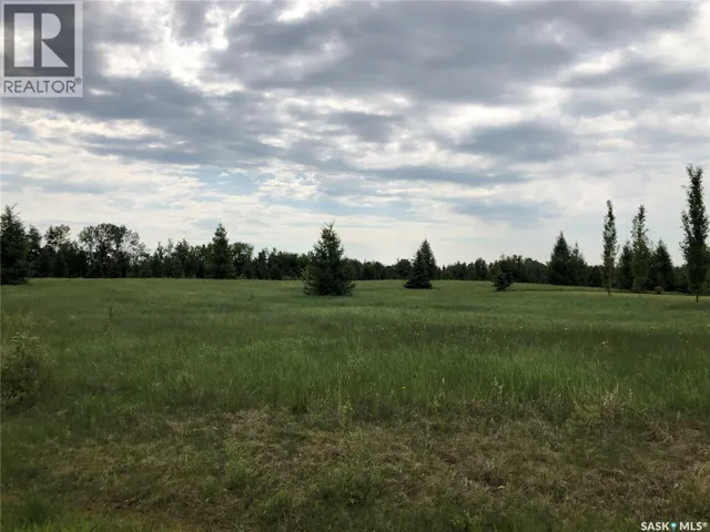 1 Northern Meadows CRESCENT, Goodsoil, Saskatchewan S0M1A0