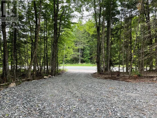 1350 HALIBURTON LAKE RD, Dysart et al (Dysart), Ontario K0M1S0