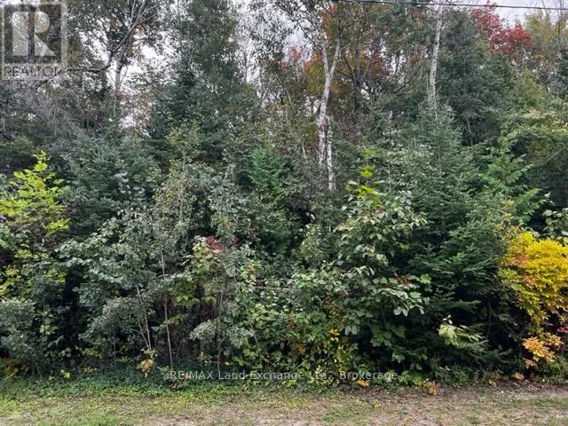 3 SHORE ROAD, Saugeen Shores, Ontario N0H2L0