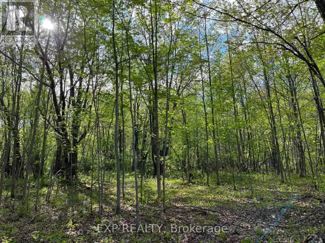 LOT 7 CASSON TRAIL, Madawaska Valley, Ontario K0J1B0