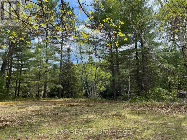 LOT 37 SANDY SHORES TRAIL, Madawaska Valley, Ontario K0J1B0