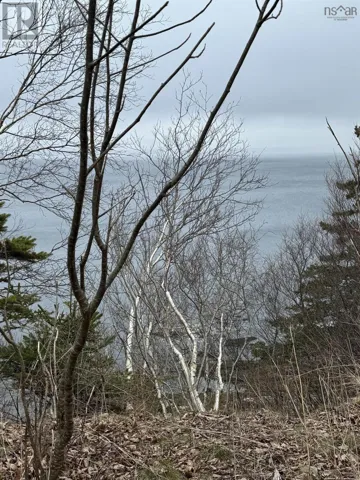 0 16 Highway, Peas Brook, Nova Scotia B0H1N0