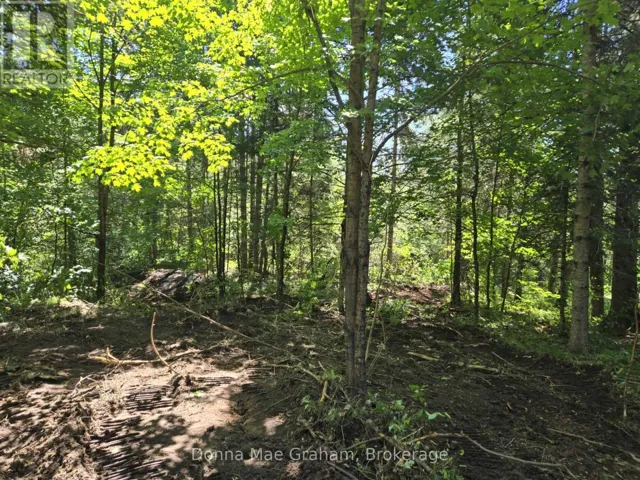 0 HWY 503 HIGHWAY E, Highlands East (Glamorgan), Ontario K0M1R0