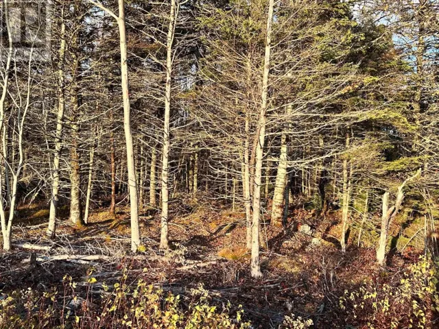 Lots 1 & 9 Shore Road, Western Head, Nova Scotia B0T1K0