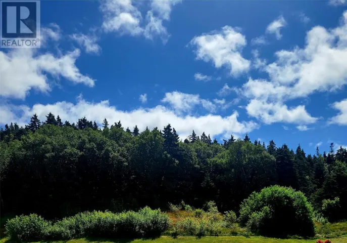 38 CATHILL Road, BAY ROBERTS, Newfoundland & Labrador A0A1G0