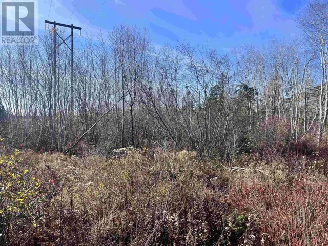 Lot No 3 Highway, Lydgate, Nova Scotia B0T1L0
