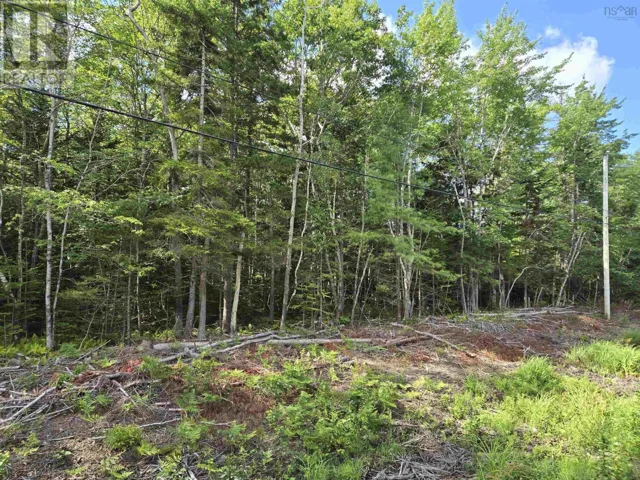 Lot 1 Conquerall Road, Conquerall Bank, Nova Scotia B4V0J6