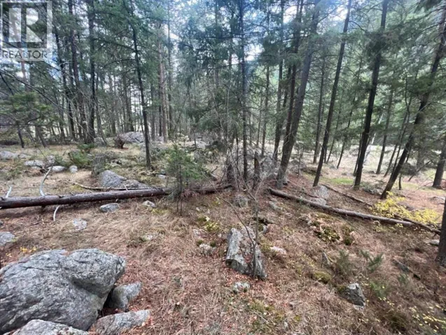2267 OLD HEDLEY Road, Princeton, British Columbia V0X1W0