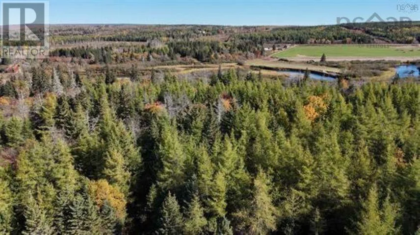 22 acres Dowling Road, Cleveland, Nova Scotia B0E3L0