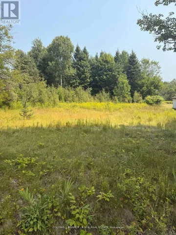 3995 BOULTER ROAD, Hastings Highlands (Wicklow Ward), Ontario K0L1C0