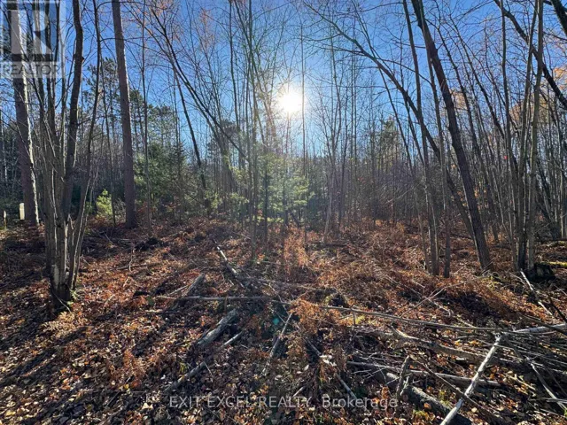 PART 2, PLAN 46R-8228 BOUNDARY RD ROAD, Alfred and Plantagenet, Ontario K0B1L0