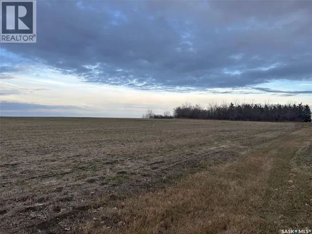 5 Acres, Rouleau, Saskatchewan S0G4H0