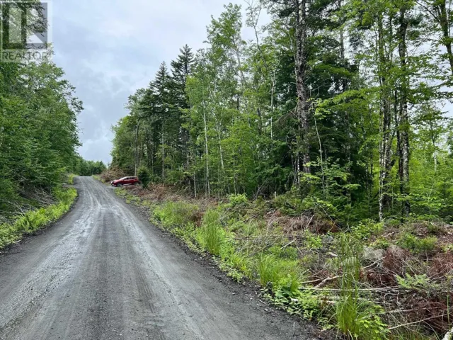 Lot 55 Russells Cove Road, Parkdale, Nova Scotia B0R1A0