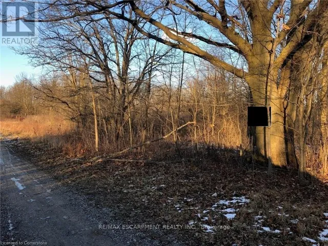 LOT 11 HALD-DUNN TOWNLINE ROAD, Haldimand, Ontario N0A1C0