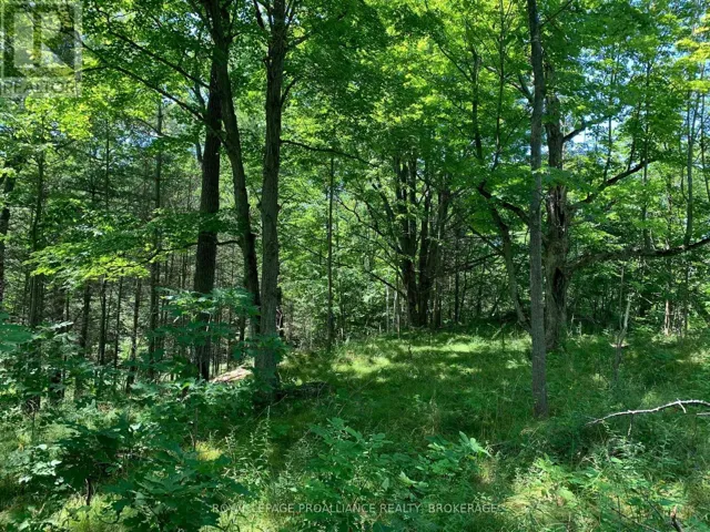 LOT 4 LEVEQUE ROAD, South Frontenac (Frontenac South), Ontario K0H2W0