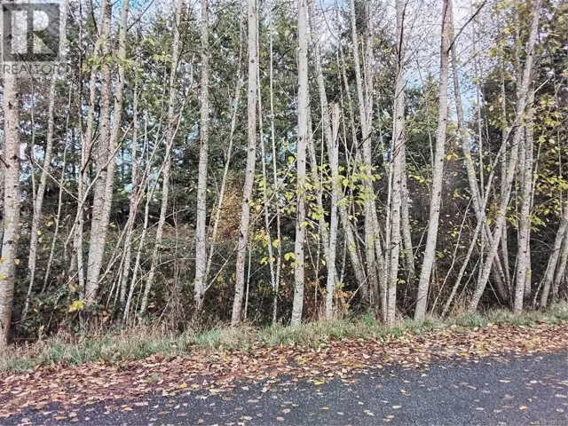 Lot E Tatton Rd, Courtenay, British Columbia V9N7E4