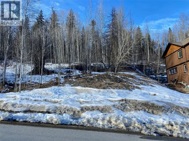 1018 SILVERTIP Road, Rossland, British Columbia V0G1Y0