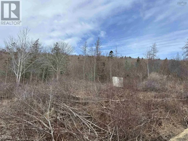 Culloden Road, Mount Pleasant, Nova Scotia B0V1A0