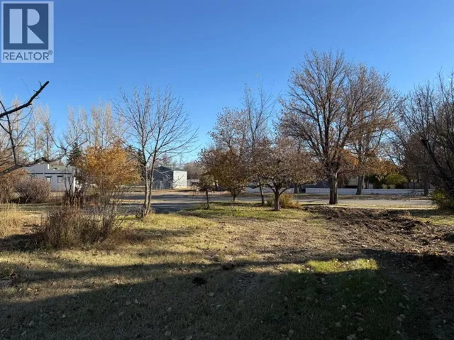 410 Grand Avenue, Carmangay, Alberta T0L0N0