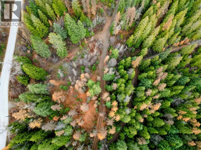 766 Drakes Road, Rossland, British Columbia V0G1Y0