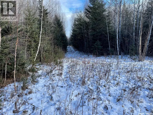 Peifer N. Cabin Lease, Hudson Bay Rm No. 394, Saskatchewan S0E0Y0