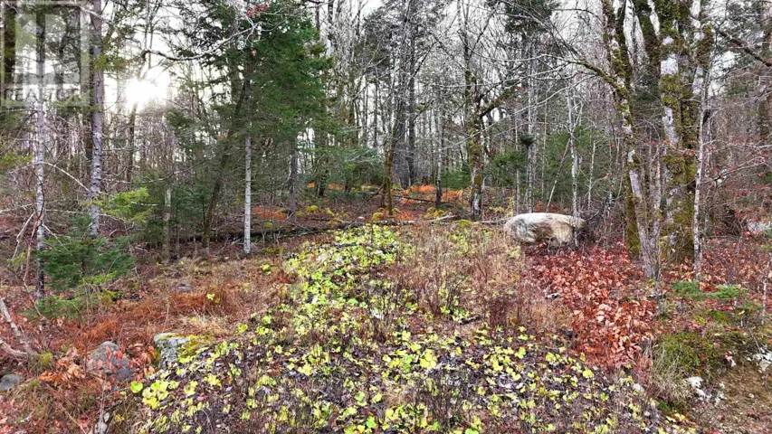 Lot 5 Nathan Croft Road, Camperdown, Nova Scotia B4V6T9