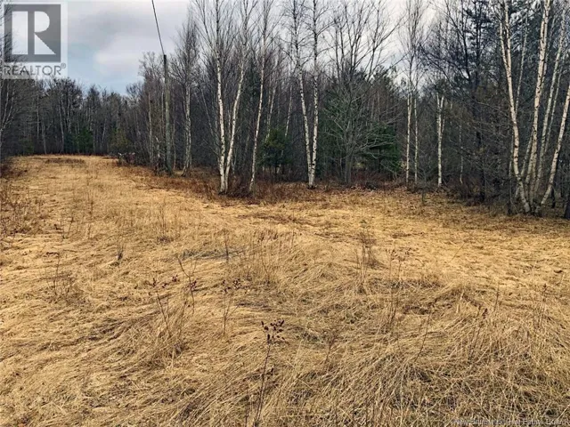 320 Pleasant Drive, Minto, New Brunswick O0O0O0