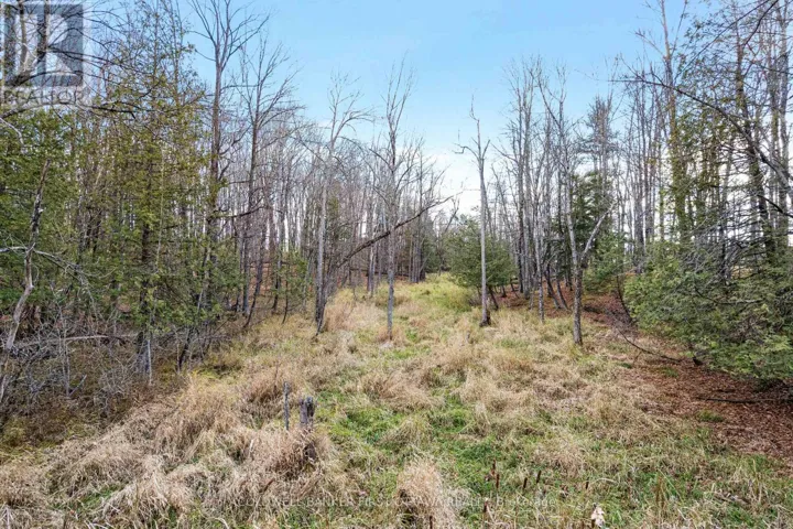 PT 1-00 HERRON MILLS ROAD, Lanark Highlands, Ontario K0G1K0