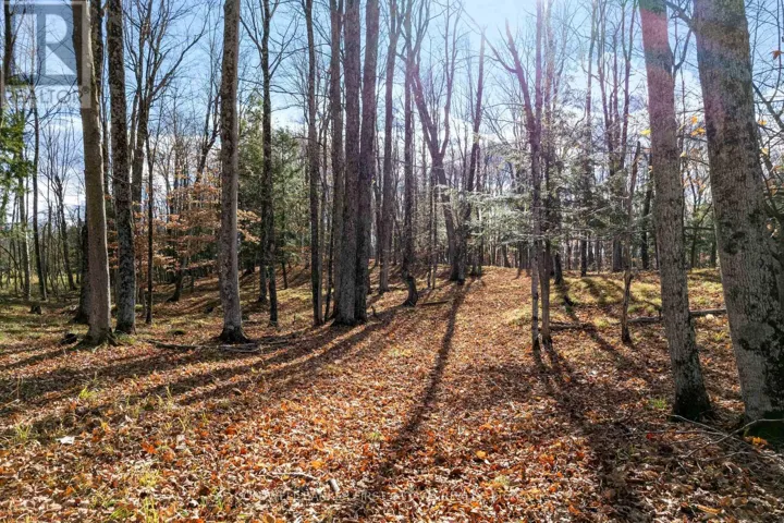 PT 2-00 HERRON MILLS ROAD, Lanark Highlands, Ontario K0G1K0