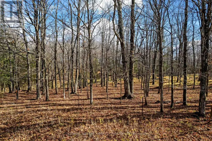 PT 3-00 HERRON MILLS ROAD, Lanark Highlands, Ontario K0G1K0
