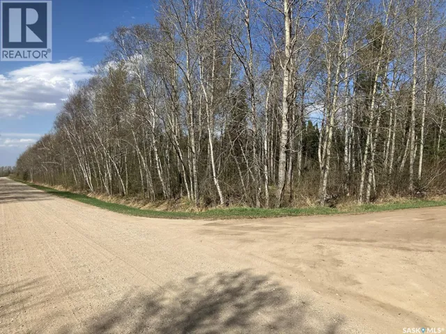 1 W Tamarac AVENUE, Nipawin, Saskatchewan S0E1E0