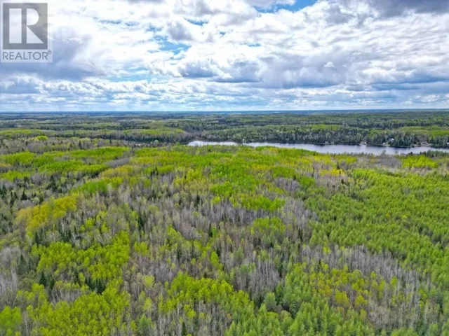 1191 Gonyou Road, Upsala, Ontario P0T2Y0