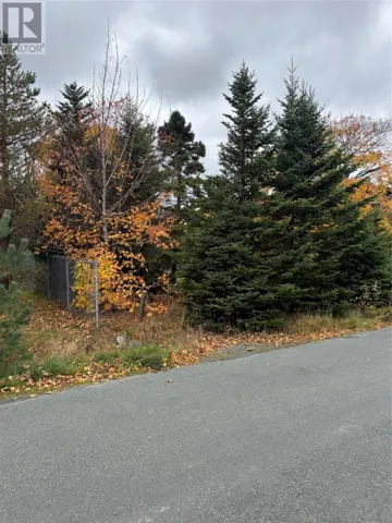 32C Cluneys Road, Conception Bay South, Newfoundland & Labrador A1X7K8