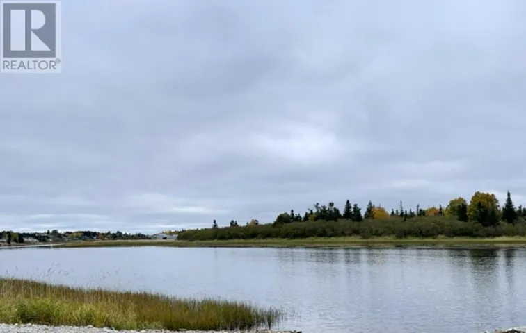 9 Amanda Avenue, Deer Lake, Newfoundland & Labrador A8A0A3