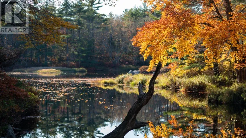 LOT BR-4 Bower Road, Lower Ohio, Nova Scotia B0T1W0