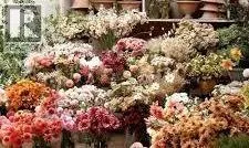 2114 54 Avenue SW, Calgary, Alberta T3E1L7