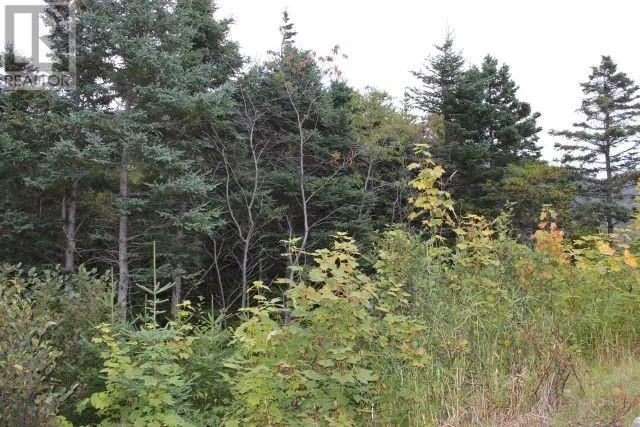 235-241 Beachy Cove Road, Portugal Cove-St. Philip's, Newfoundland & Labrador A1M1Z4