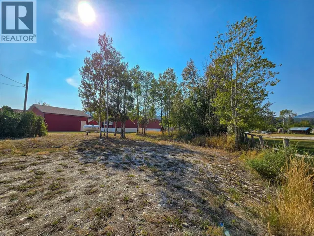 8913 SHAUGHNESSY Street, Canal Flats, British Columbia V0A1E0