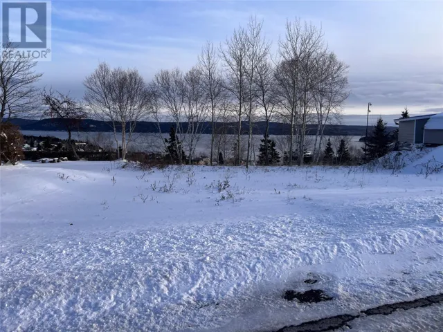36 Maple Street, Springdale, Newfoundland & Labrador A0J1T0