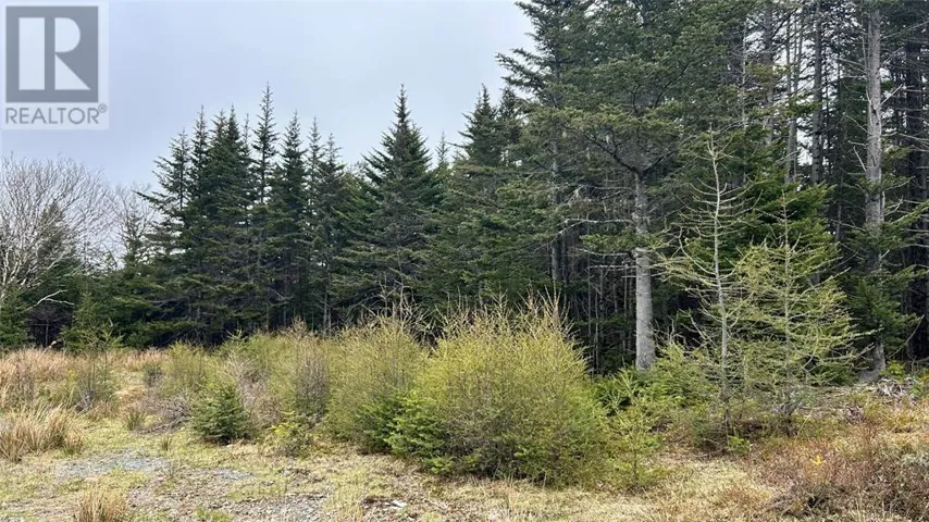 0 Strayaway Road, Blaketown, Newfoundland & Labrador A0B1C0