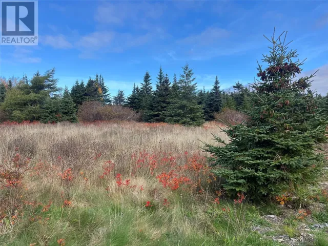 17-25 Bay Ridge Road, Ferryland, Newfoundland & Labrador A0A2H0