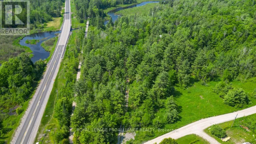 4 WOLF LAKE ROAD, Madoc, Ontario K0K1Y0