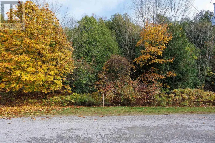 LT 17 PL 594 COURTNEY COURT S, Ashfield-Colborne-Wawanosh (Ashfield), Ontario N2Z2X3
